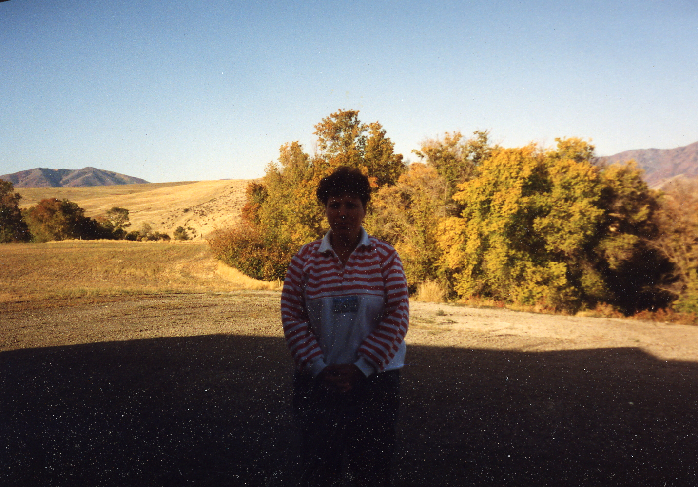 Image 80